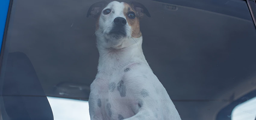 Car Lockout Solutions in Glen Avon, California